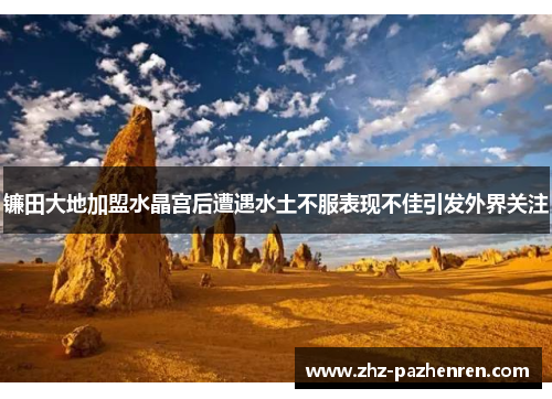 镰田大地加盟水晶宫后遭遇水土不服表现不佳引发外界关注